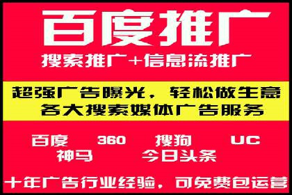 专业SEM运营托管服务案例分析